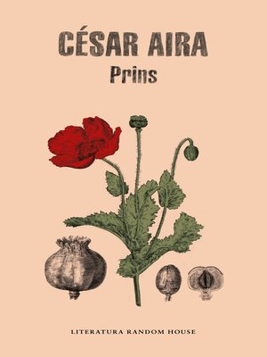 cover image of Prins
